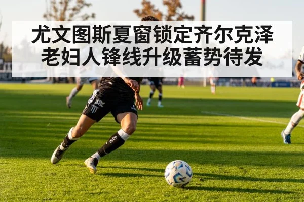 尤文图斯夏窗锁定齐尔克泽 老妇人锋线升级蓄势待发