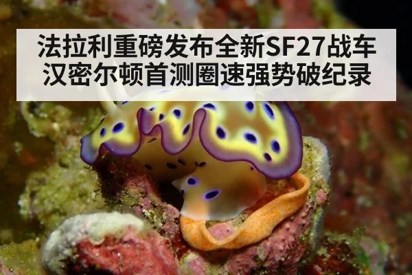 法拉利重磅发布全新SF27战车 汉密尔顿首测圈速强势破纪录